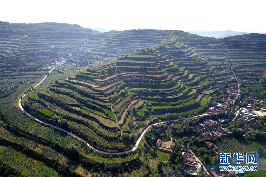  （走向我們的小康生活&middot;圖文互動(dòng)）（1）在那碧綠的階梯上&mdash;&mdash;&ldquo;梯田之鄉(xiāng)&rdquo;甘肅莊浪縣的&ldquo;三級跳&rdquo;