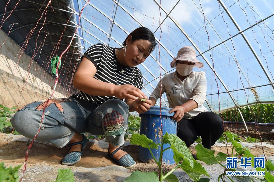 （新華全媒頭條&middot;走向我們的小康生活&middot;圖文互動）（5）&ldquo;苦甲&rdquo;不再，&ldquo;甘味&rdquo;綿長&mdash;&mdash;脫貧攻堅的甘肅味道