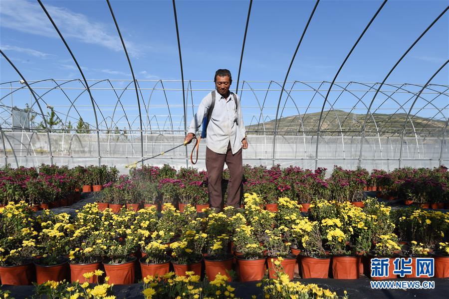 （新華全媒頭條&middot;走向我們的小康生活&middot;圖文互動）（10）&ldquo;苦甲&rdquo;不再，&ldquo;甘味&rdquo;綿長&mdash;&mdash;脫貧攻堅的甘肅味道