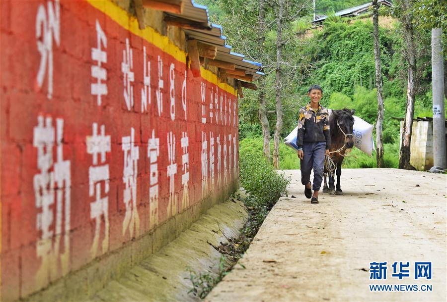 （新華全媒頭條&middot;決戰(zhàn)決勝脫貧攻堅(jiān)&middot;督戰(zhàn)未摘帽貧困縣&middot;圖文互動(dòng)）（6）苦蕎花開(kāi)大涼山&mdash;&mdash;四川7個(gè)未摘帽縣脫貧攻堅(jiān)一線觀察