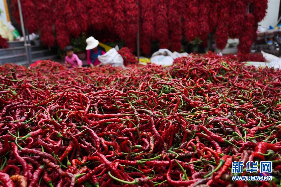 （走向我們的小康生活&middot;決戰(zhàn)決勝脫貧攻堅(jiān)&middot;圖文互動(dòng)）（7）甘青交界處的跨越&mdash;&mdash;保安族、撒拉族的脫貧故事 