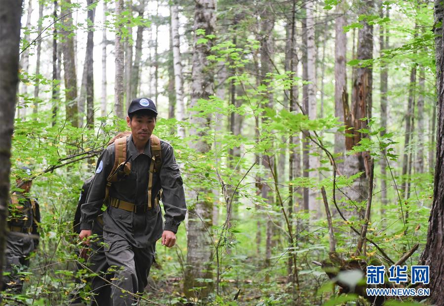 （圖文互動(dòng)）（1）長(zhǎng)白山60年書寫&ldquo;生態(tài)答卷&rdquo;