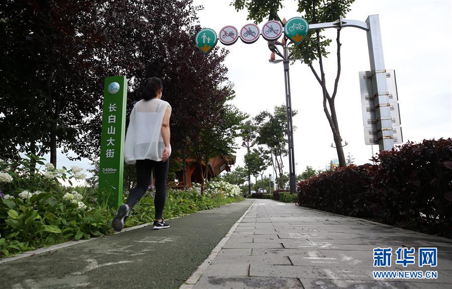 （圖文互動(dòng)）（7）長(zhǎng)白山60年書寫&ldquo;生態(tài)答卷&rdquo;