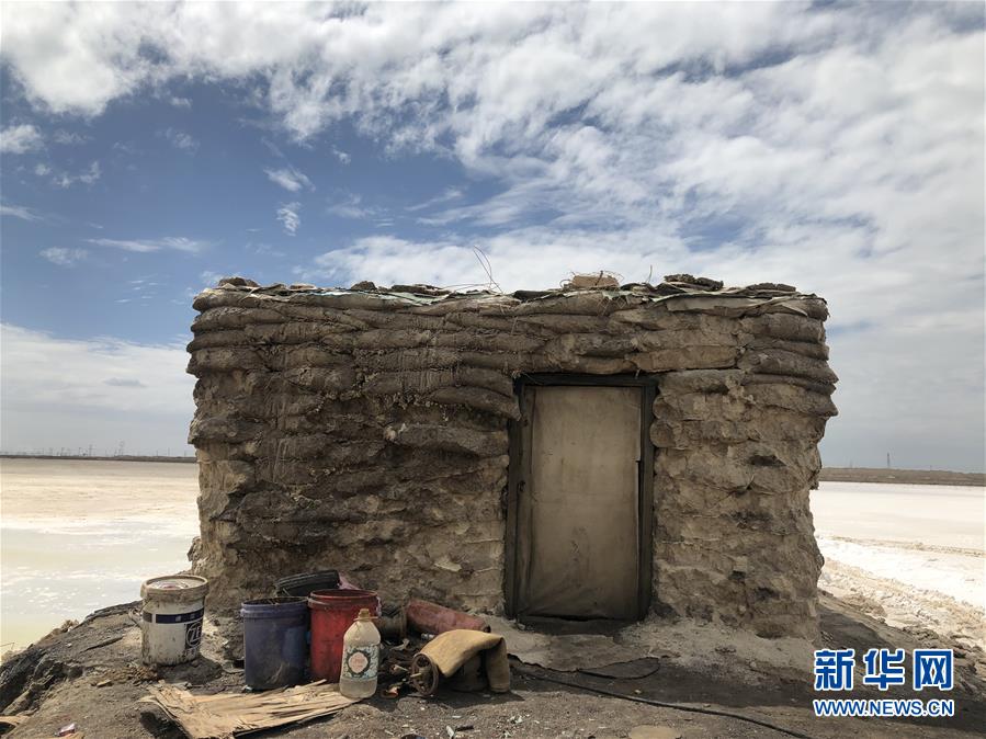 (走向我們的小康生活·決戰(zhàn)決勝脫貧攻堅(jiān)·圖文互動)(3)盆地里的生長