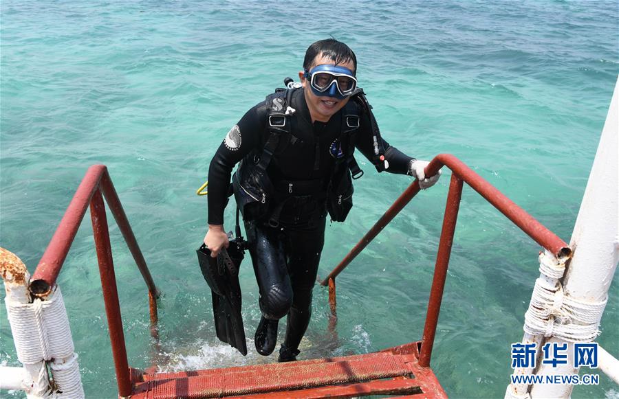 （在習(xí)近平新時代中國特色社會主義思想指引下&mdash;&mdash;新時代新作為新篇章&middot;習(xí)近平總書記關(guān)切事&middot;圖文互動）（5）終不悔為國為民，攀高峰只爭朝夕&mdash;&mdash;來自科學(xué)家們的動人故事