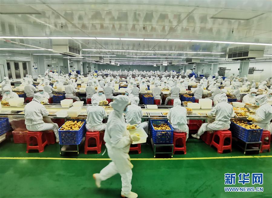 （決戰(zhàn)決勝脫貧攻堅&middot;圖文互動）（8）同飲一江水 攜手&ldquo;斬窮根&rdquo;&mdash;&mdash;深圳對口廣西河池、百色扶貧協(xié)作見聞