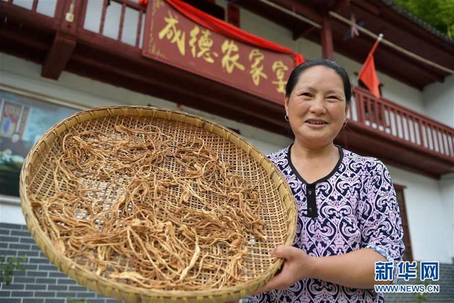 （新華全媒頭條&middot;走向我們的小康生活&middot;圖文互動）（4）神山村&ldquo;神奇&rdquo;何在？&mdash;&mdash;井岡山深處覓答案