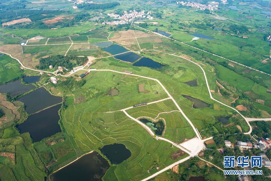 （新華全媒頭條&middot;走向我們的小康生活&middot;圖文互動(dòng)）（1）特殊之年，荊楚大地書(shū)寫(xiě)不平凡的答卷