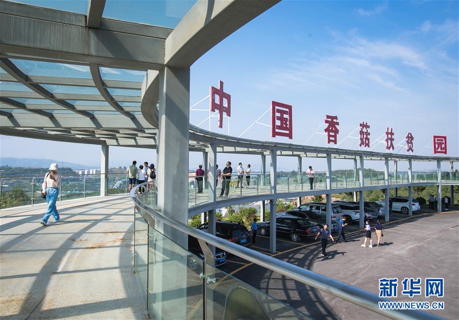 （新華全媒頭條&middot;走向我們的小康生活&middot;圖文互動(dòng)）（2）特殊之年，荊楚大地書(shū)寫(xiě)不平凡的答卷