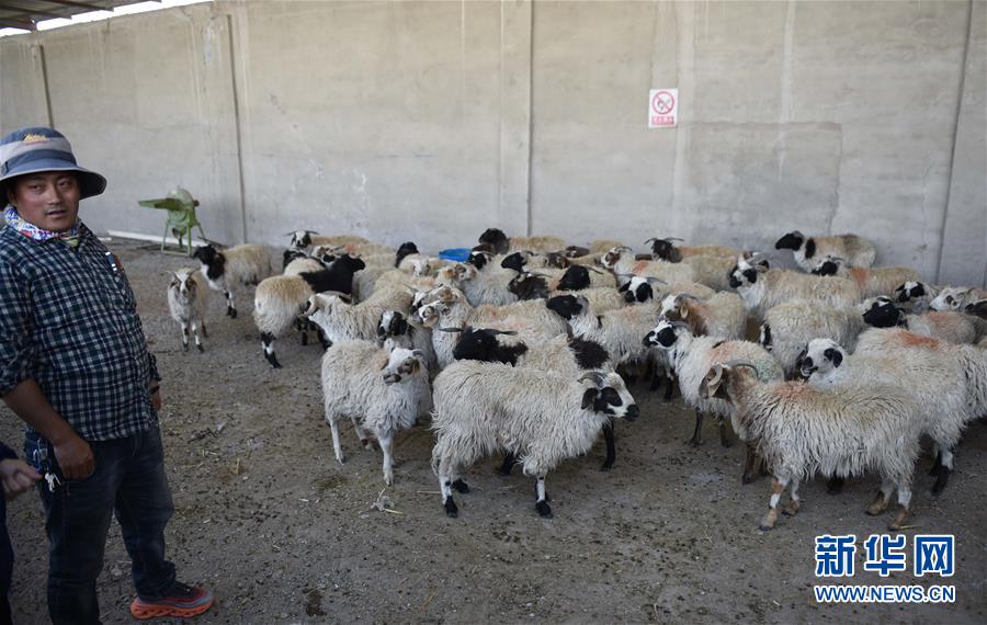 （集中連片特困地區(qū)貧困村調(diào)研行&middot;圖文互動(dòng)）（4）長(zhǎng)江源村人的兩個(gè)家和幸福夢(mèng)&mdash;&mdash;青海格爾木市長(zhǎng)江源村脫貧調(diào)查