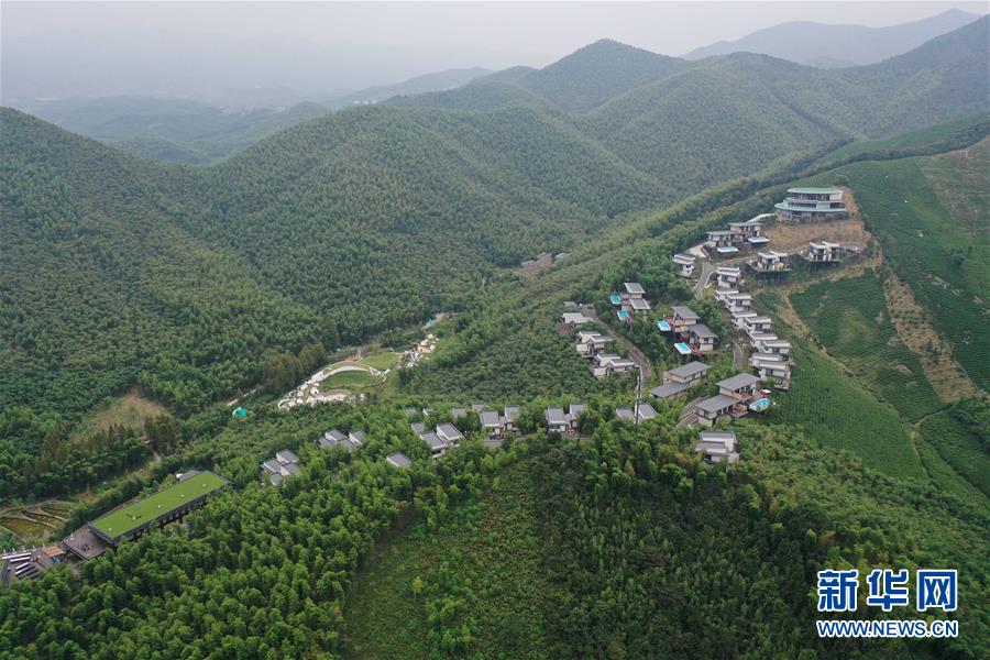 （新華全媒頭條&middot;圖文互動）（8）&ldquo;綠&rdquo;從天目盎然出&mdash;&mdash;湖州做好&ldquo;六穩(wěn)&rdquo;工作落實&ldquo;六保&rdquo;任務新觀察