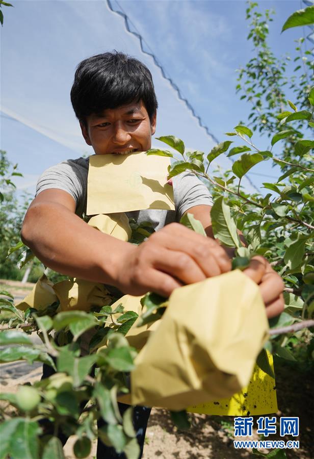 （習(xí)近平的小康故事&middot;圖文互動(dòng)）（2）&ldquo;我很期盼的一件事，就是讓鄉(xiāng)親們飽餐一頓肉&rdquo;&mdash;&mdash;習(xí)近平和脫貧攻堅(jiān)的故事