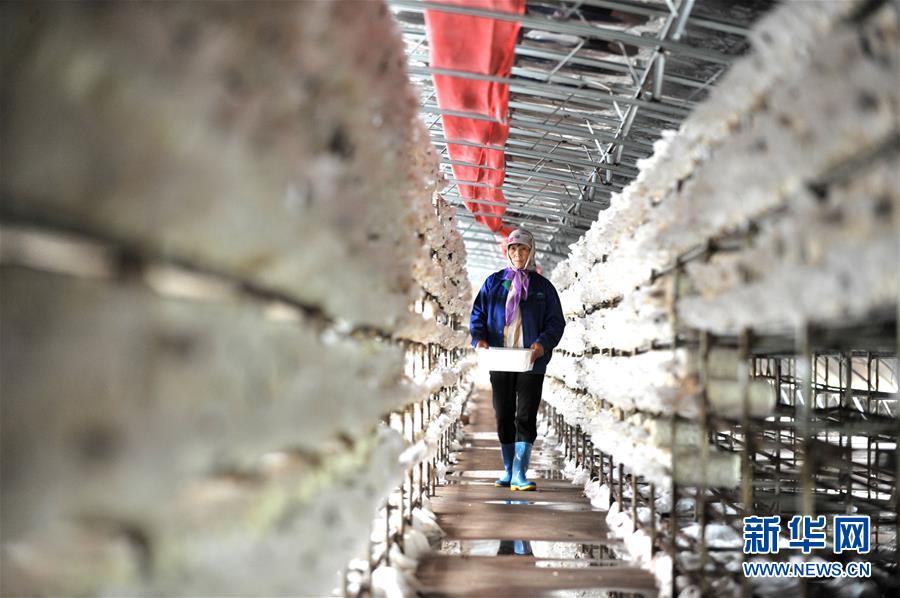 （習(xí)近平的小康故事&middot;圖文互動(dòng)）（6）&ldquo;我很期盼的一件事，就是讓鄉(xiāng)親們飽餐一頓肉&rdquo;&mdash;&mdash;習(xí)近平和脫貧攻堅(jiān)的故事