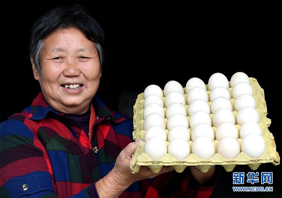 （決戰(zhàn)決勝脫貧攻堅(jiān)&middot;圖文互動(dòng)）（3）17代人追逐的夢(mèng)想實(shí)現(xiàn)了&mdash;&mdash;記冀南平原劉秋口村變遷 