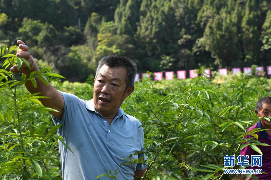 （決戰(zhàn)決勝脫貧攻堅(jiān)&middot;圖文互動(dòng)）（4）&ldquo;堵槍眼&rdquo;的脫貧戰(zhàn)怎么打？&mdash;&mdash;繼光村見聞