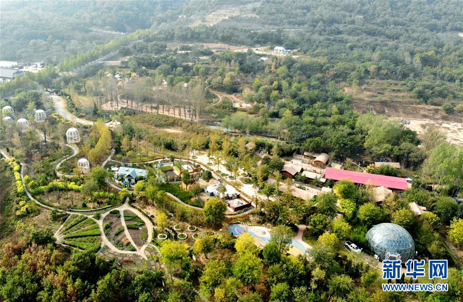 （全面建成小康社會(huì)&ldquo;百城千縣萬(wàn)村調(diào)研行&rdquo;&middot;圖文互動(dòng)）（2）青島西海岸新區(qū)以&ldquo;生態(tài)酵母&rdquo;激活鄉(xiāng)村振興