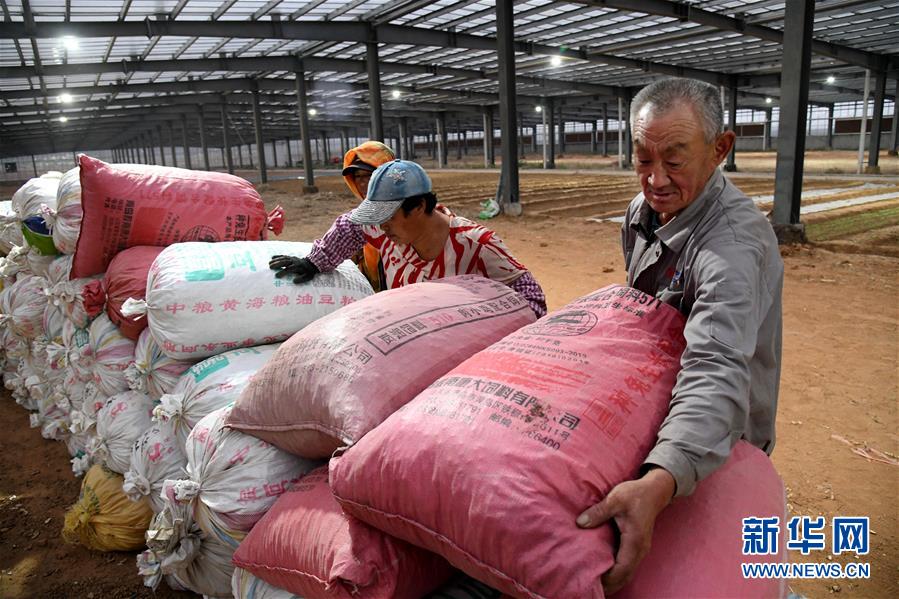 （全面建成小康社會(huì)&ldquo;百城千縣萬(wàn)村調(diào)研行&rdquo;&middot;圖文互動(dòng)）（6）青島西海岸新區(qū)以&ldquo;生態(tài)酵母&rdquo;激活鄉(xiāng)村振興