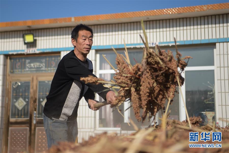（全面建成小康社會&ldquo;百城千縣萬村&rdquo;調研行&middot;圖文互動）（1）互助互利，小甘薯帶來甜蜜日子&mdash;&mdash;內蒙古奈曼旗互利村闖出產業(yè)致富之路