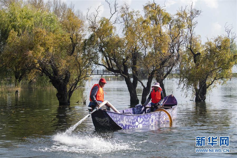 (新華全媒頭條·五中全會(huì)精神在基層·圖文互動(dòng))(9)奮發(fā)新青年 逐夢新征程——各地青年學(xué)習(xí)貫徹落實(shí)五中全會(huì)精神觀察