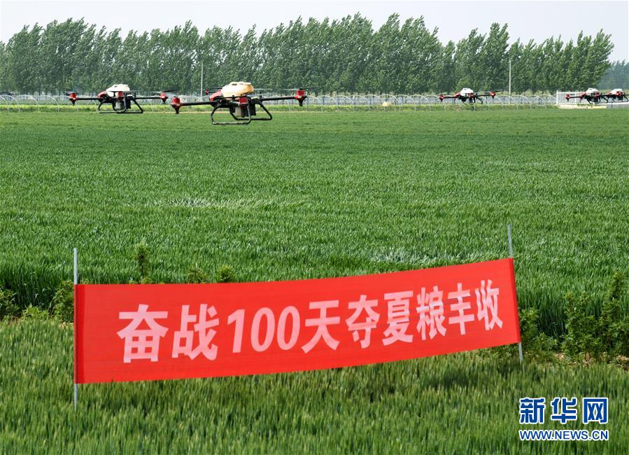 （在習(xí)近平新時代中國特色社會主義思想指引下&mdash;&mdash;新時代新作為新篇章&middot;習(xí)近平總書記關(guān)切事&middot;圖文互動）（9）新農(nóng)事、新希望&mdash;&mdash;夏收前田間新動態(tài)掃描