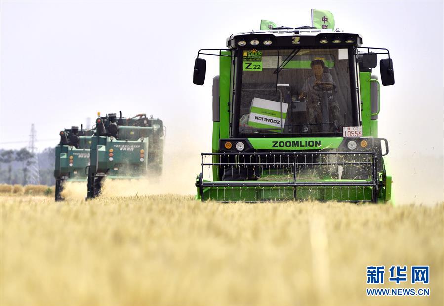 （在習近平新時代中國特色社會主義思想指引下&mdash;&mdash;新時代新作為新篇章&middot;習近平總書記關切事&middot;圖文互動）（12）讓農民挑上&ldquo;金扁擔&rdquo;&mdash;&mdash;農業(yè)現代化的生動實踐掃描