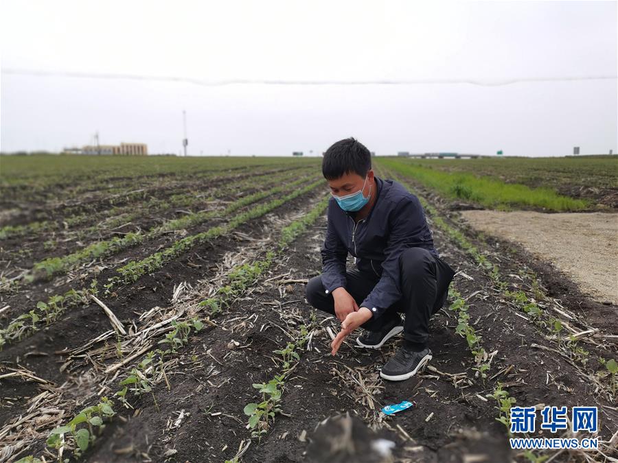 （在習(xí)近平新時(shí)代中國(guó)特色社會(huì)主義思想指引下&mdash;&mdash;新時(shí)代新作為新篇章&middot;習(xí)近平總書記關(guān)切事&middot;圖文互動(dòng)）（4）讓百姓吃得飽還要吃得好&mdash;&mdash;夯實(shí)糧食安全基礎(chǔ)端牢中國(guó)飯碗