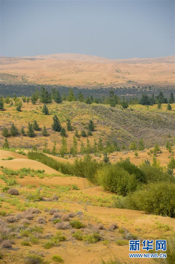 （在習(xí)近平新時代中國特色社會主義思想指引下&mdash;&mdash;新時代新作為新篇章&middot;習(xí)近平總書記關(guān)切事&middot;圖文互動）（6）綠意，在黃沙中鋪展&mdash;&mdash;我國防沙治沙紀(jì)實(shí)