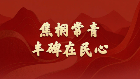 政績觀丨焦桐常青，豐碑在民心