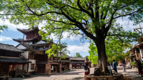 與古為新 文脈綿長