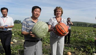 于海河圖啥？&mdash;&mdash;追尋黑土地上&ldquo;焦裕祿&rdquo;的民心足印