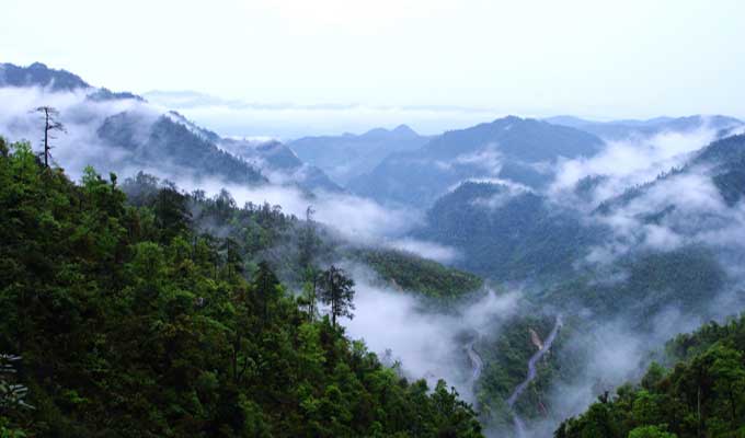 廣東乳源、廣東乳陽(yáng)林場(chǎng)、云南華寧葫蘆口電站