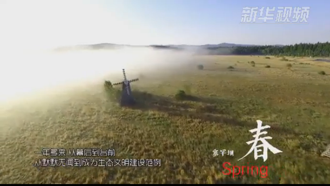 塞罕壩：那一抹綠色，走進越來越多人心里
