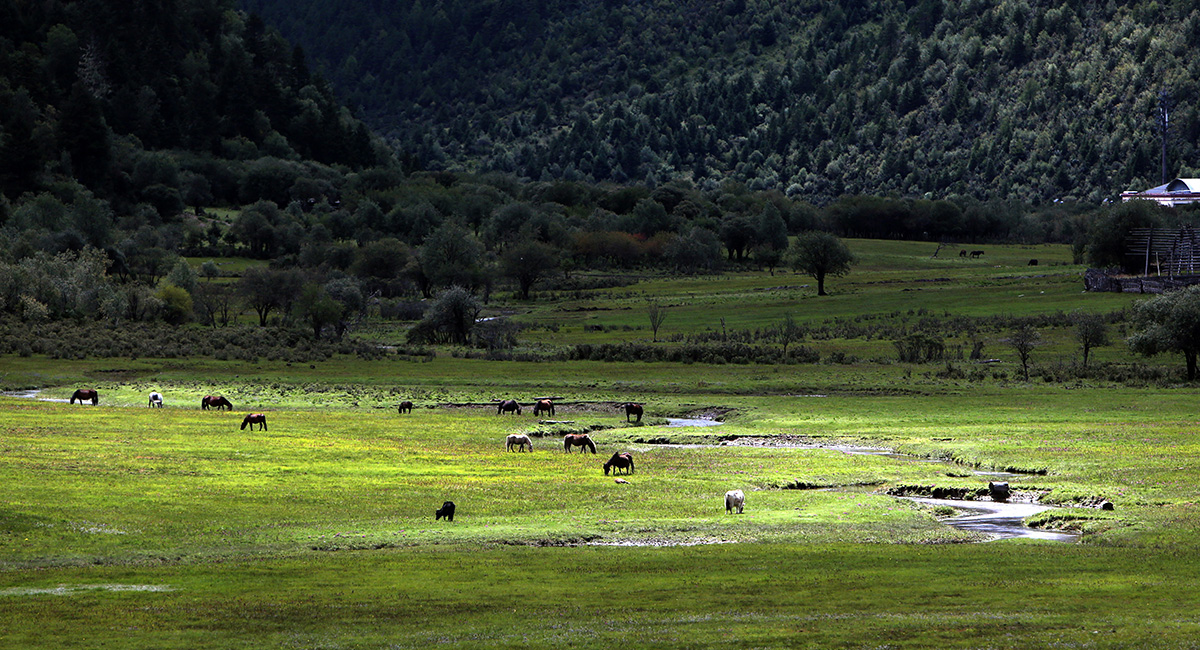 云南&ldquo;三江并流&rdquo;地區(qū)決戰(zhàn)精準(zhǔn)脫貧的&ldquo;生態(tài)畫卷&rdquo;