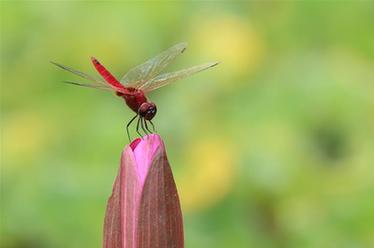 2019，精&ldquo;彩&rdquo;紛呈