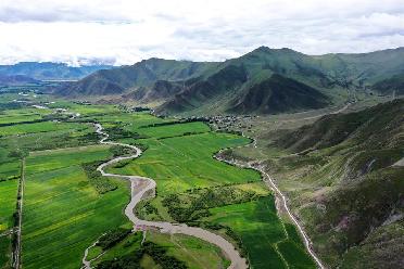 夏日林周風光美