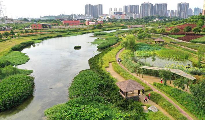 南寧那考河濕地公園：一條&ldquo;臭水溝&rdquo;的華麗轉(zhuǎn)身
