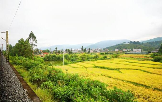 坐著高鐵看中國｜走成昆，感受闖過禁區(qū)的光影記錄