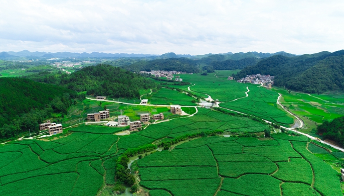 讓核子&ldquo;裂變&rdquo;的&ldquo;茭白隊(duì)長&rdquo;