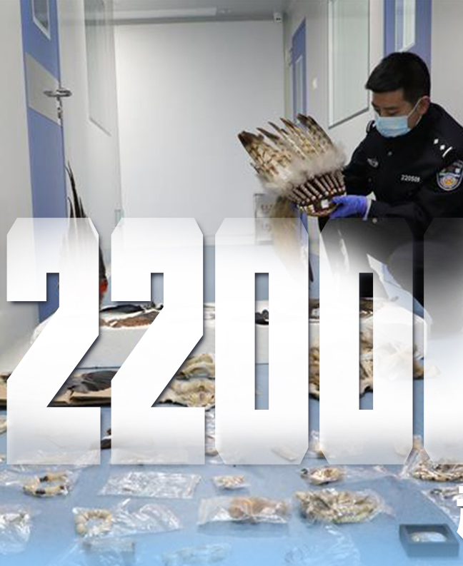 抗疫有&ldquo;法&rdquo;，就是這么給力！