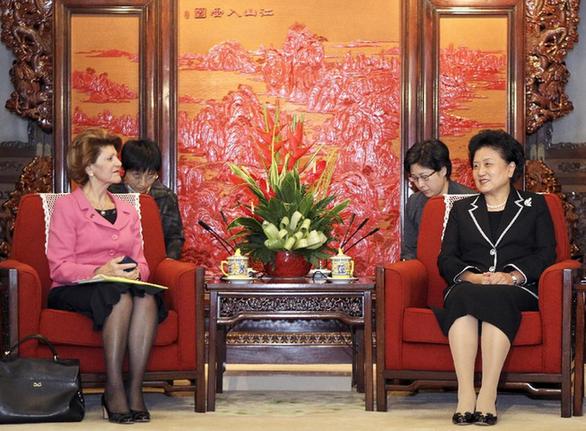 劉延?xùn)|會見歐盟委員會教育、文化、語言多樣性及青年事務(wù)委員瓦西利烏