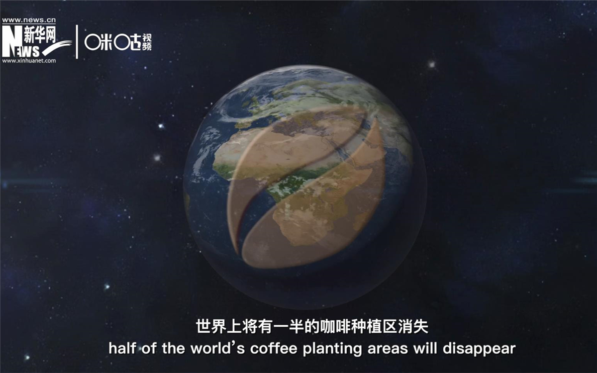 科學(xué)家預(yù)測(cè)到三十年后，世界上將有一半的咖啡種植區(qū)消失