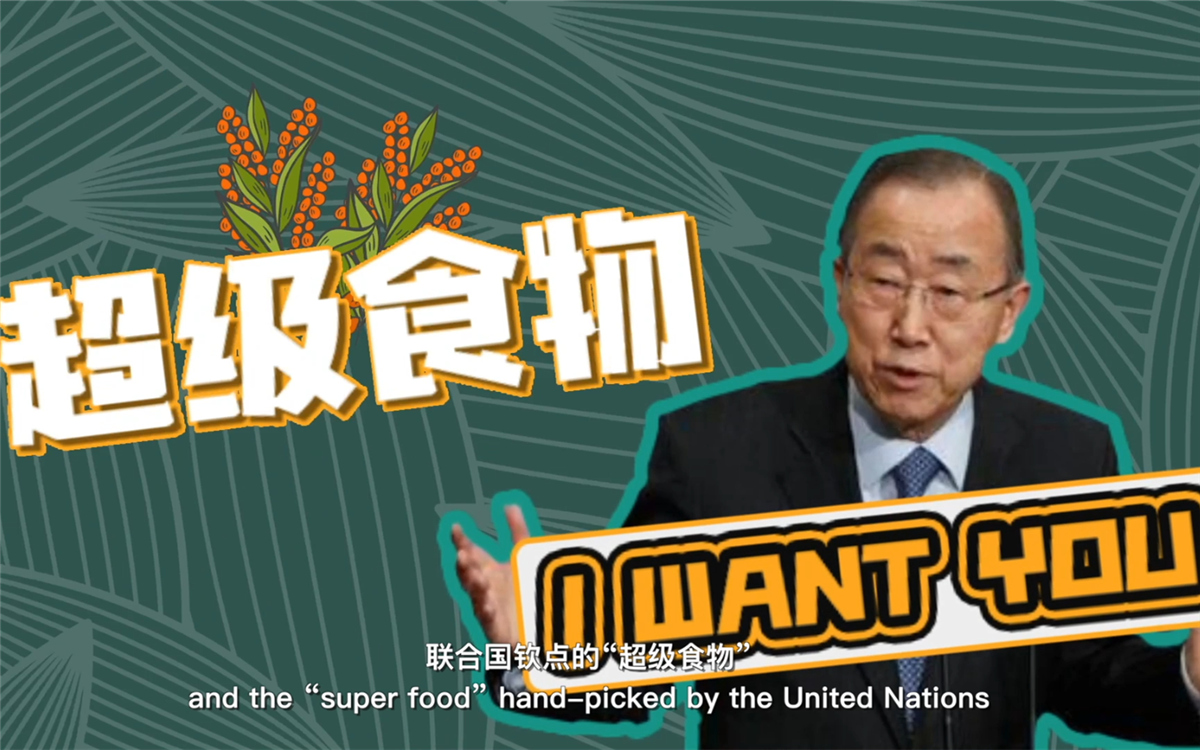 聯(lián)合國(guó)將藜麥視為抗擊饑餓的&ldquo;超級(jí)食物&rdquo;，大力推廣