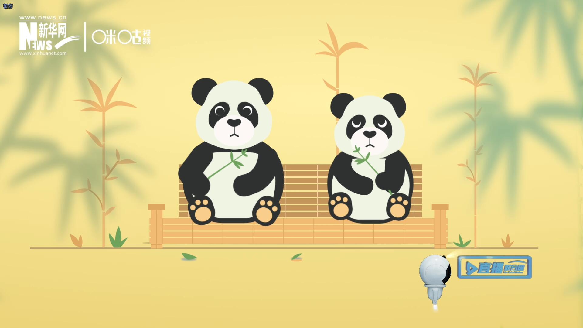 &ldquo;哥哥你看，又有人來看我們了。&rdquo;&ldquo;有什么奇怪的，我們可是聯(lián)合國&lsquo;最萌&rsquo;的大使??！&rdquo;。