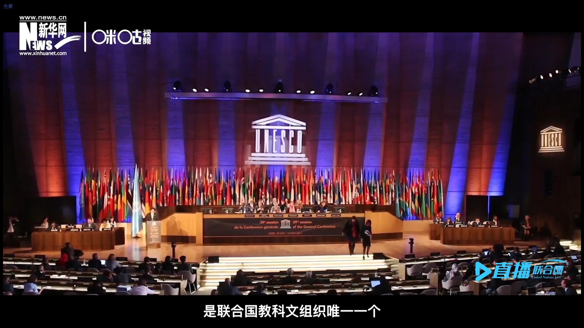 民間藝術(shù)國(guó)際組織成立于1979年，是聯(lián)合國(guó)教科文組織唯一一個(gè)以保護(hù)和挖掘國(guó)際民間藝術(shù)為工作中心的國(guó)際機(jī)構(gòu)。