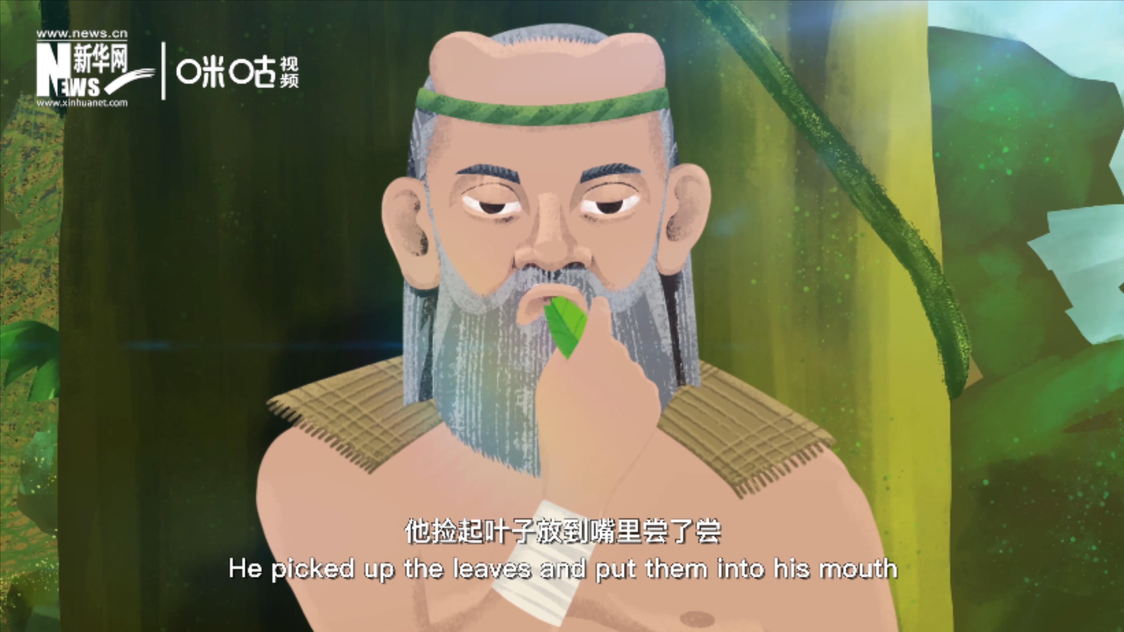 相傳，神農在嘗百草的過程中發(fā)現了茶