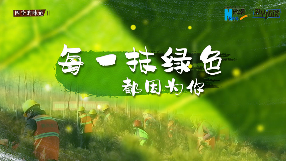 千年秀林，每一抹綠色都因為你