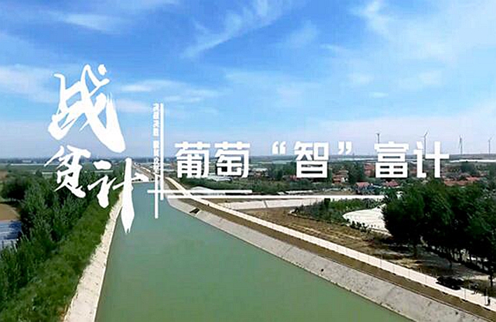 戰(zhàn)貧計(jì)丨葡萄&ldquo;智&rdquo;富計(jì)