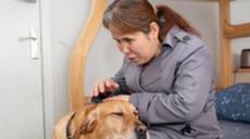 &ldquo;有你在身旁，真好&rdquo;