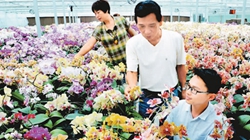 臺(tái)商眼中的改革開放：風(fēng)景這邊獨(dú)好 要去，要去，要去！