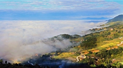 臺(tái)胞臺(tái)商熱議陜西惠臺(tái)&ldquo;60條&rdquo;：期盼落實(shí)、共享機(jī)遇